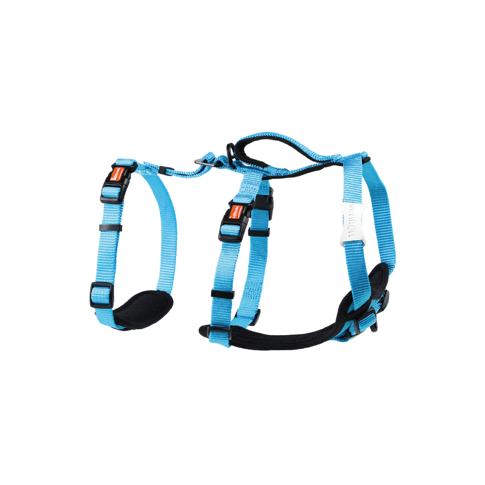 Harness for Dogs